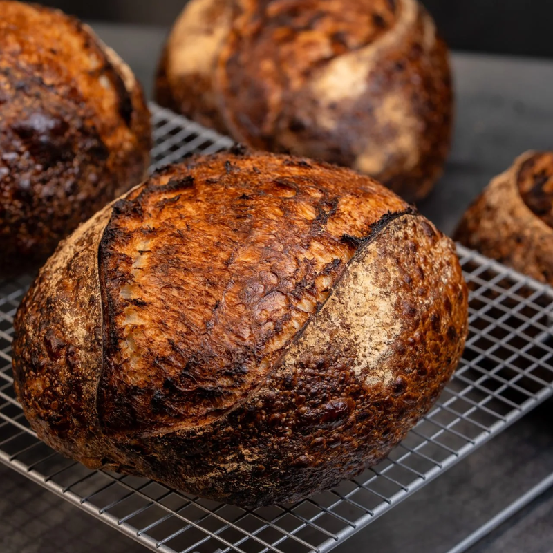 Sourdough Skills Course (8 weeks, 1.5-2 hours per session)