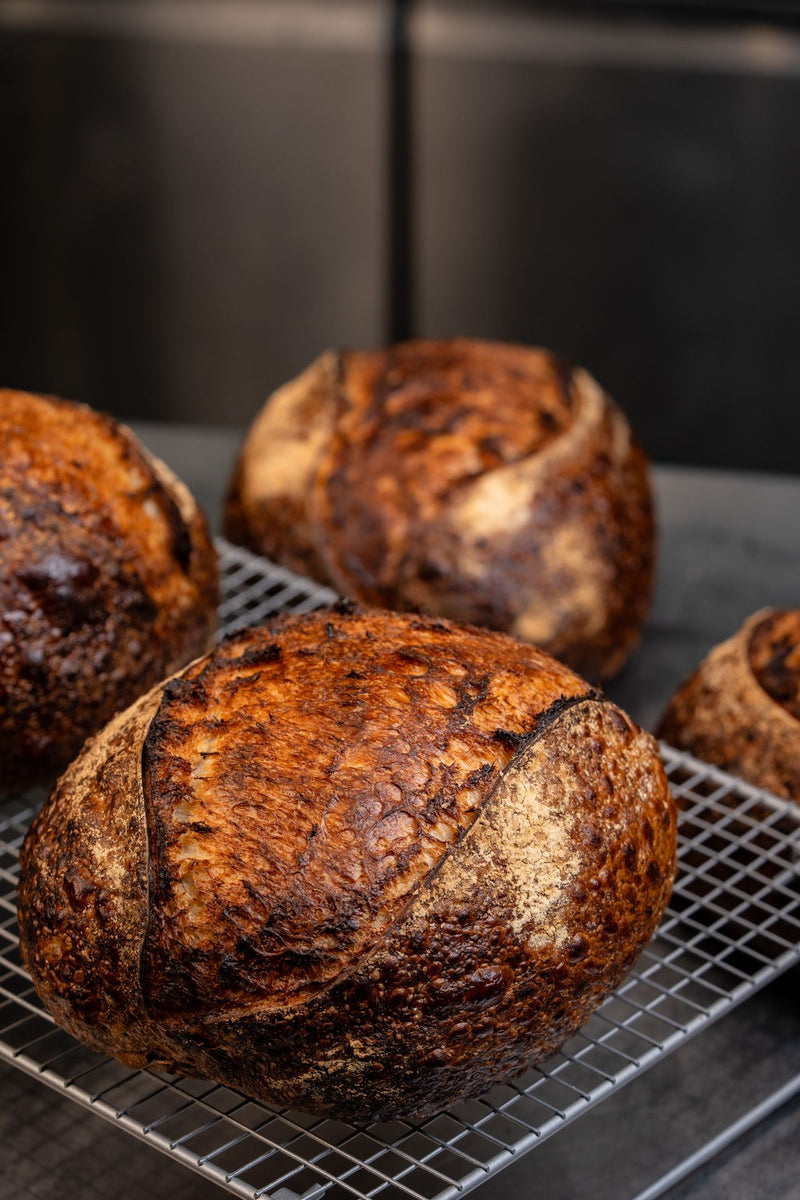 Artisan sourdough loaves baked at The Focacceria on Boucher Road Belfast