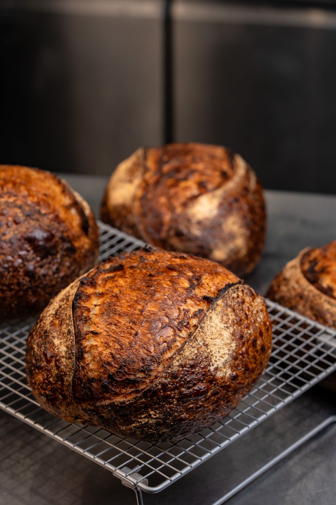 Flour Arrangement (Collection 23rd)